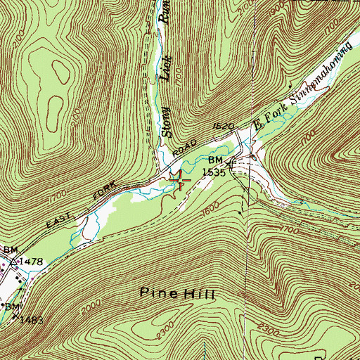 Topographic Map of Stony Lick Run, PA