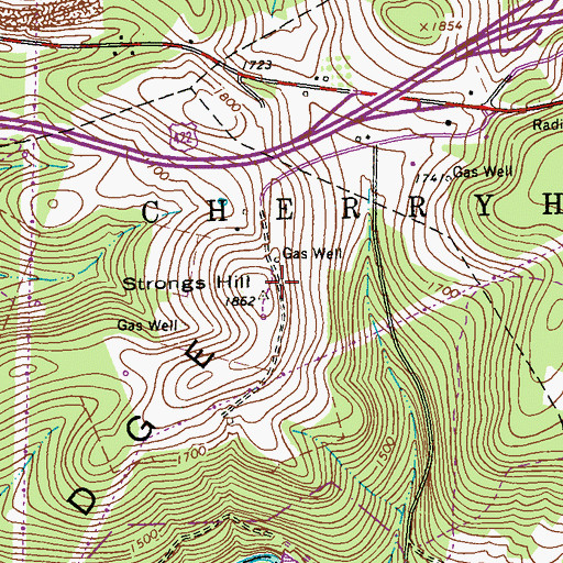 Topographic Map of Strongs Hill, PA