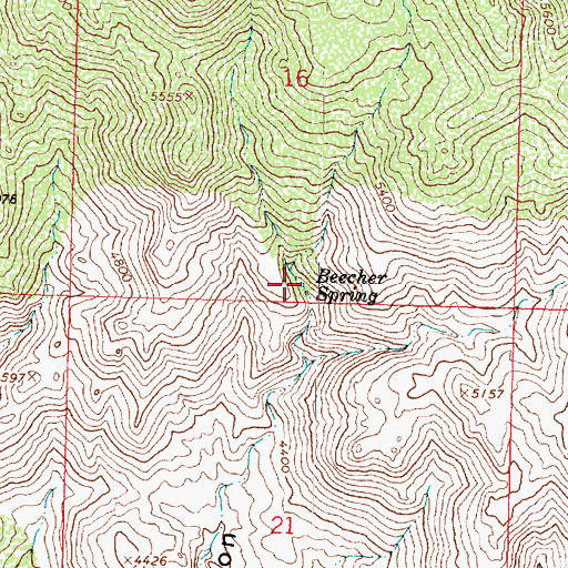 Topographic Map of Beecher Spring, AZ