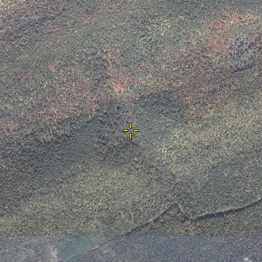 Aerial/Satellite Image of Suloff Gap, PA