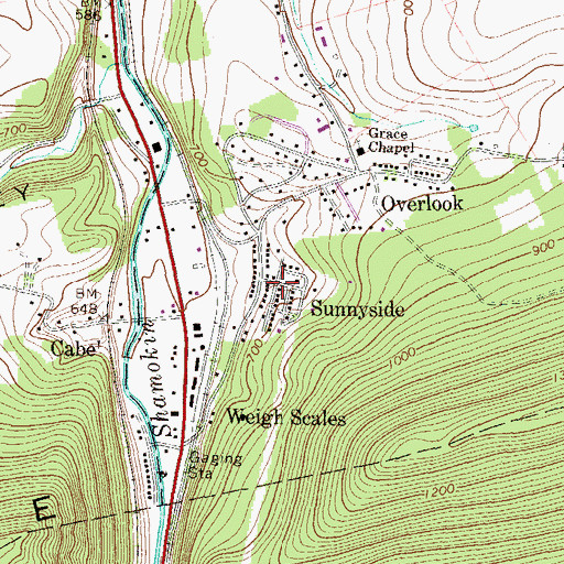 Topographic Map of Sunnyside, PA