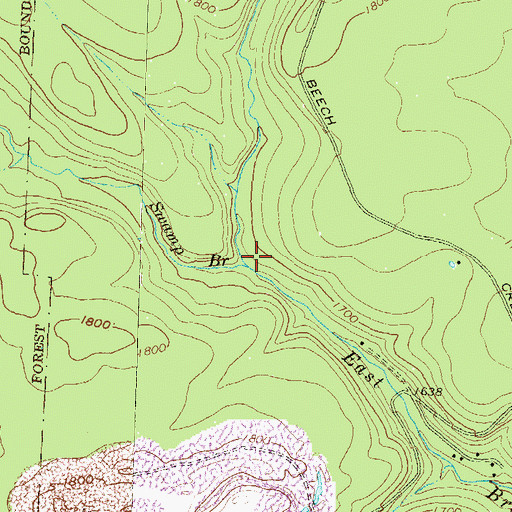 Topographic Map of Swamp Branch, PA