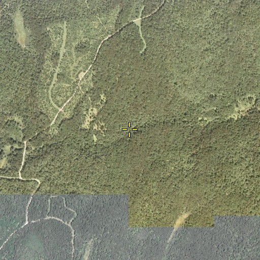 Aerial/Satellite Image of Swamp Run, PA