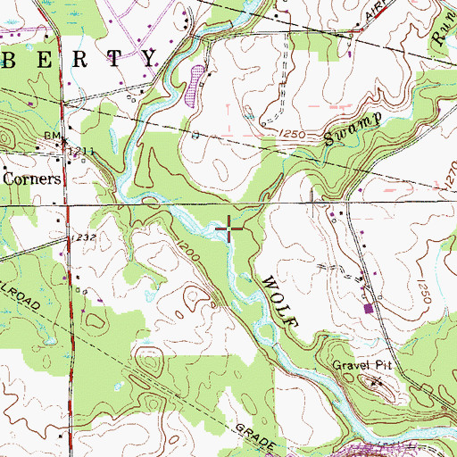 Topographic Map of Swamp Run, PA