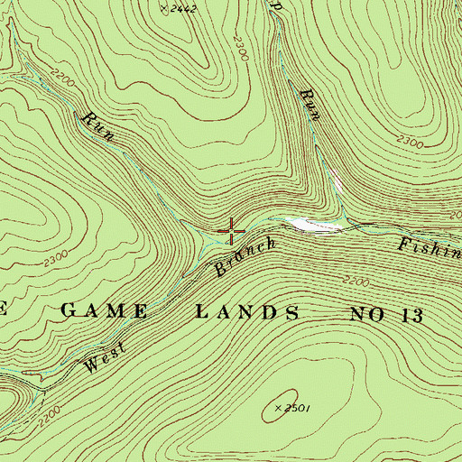 Topographic Map of Swanks Run, PA