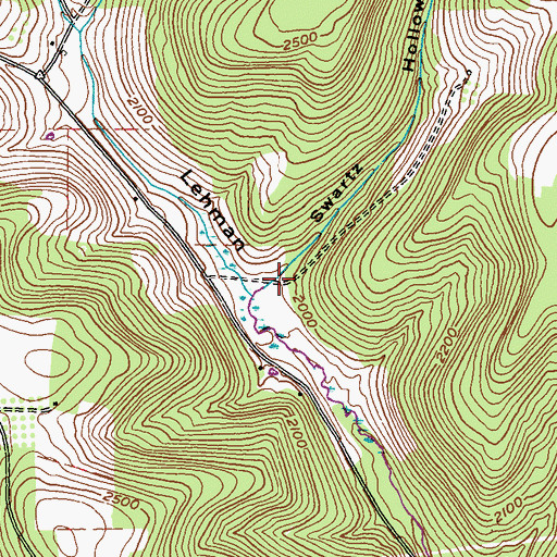 Topographic Map of Swartz Hollow, PA
