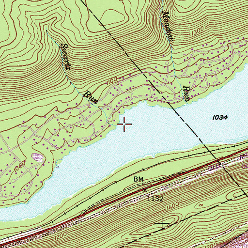 Topographic Map of Swartz Run, PA
