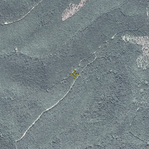 Aerial/Satellite Image of Switchback Trail, PA