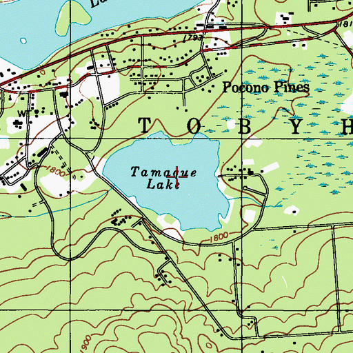 Topographic Map of Tamaque Lake, PA