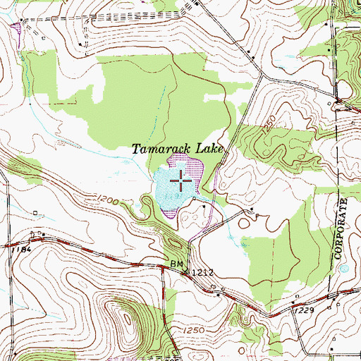 Topographic Map of Tamarack Lake, PA