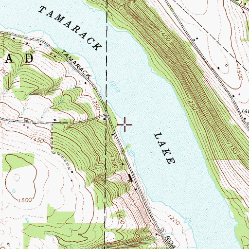 Topographic Map of Tamarack Lake, PA