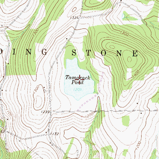 Topographic Map of Tamarack Pond, PA