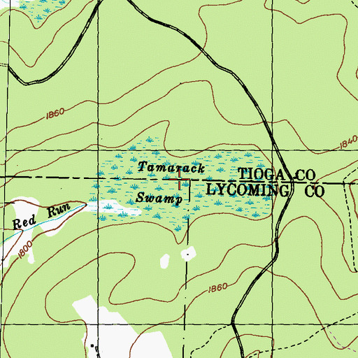 Topographic Map of Tamarack Swamp, PA