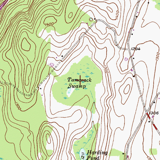 Topographic Map of Tamarack Swamp, PA