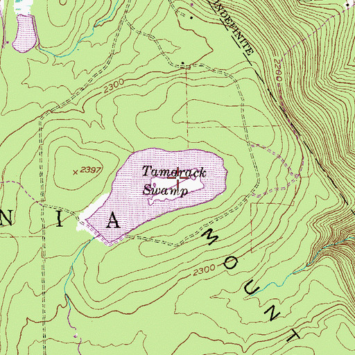 Topographic Map of Tamarack Swamp, PA