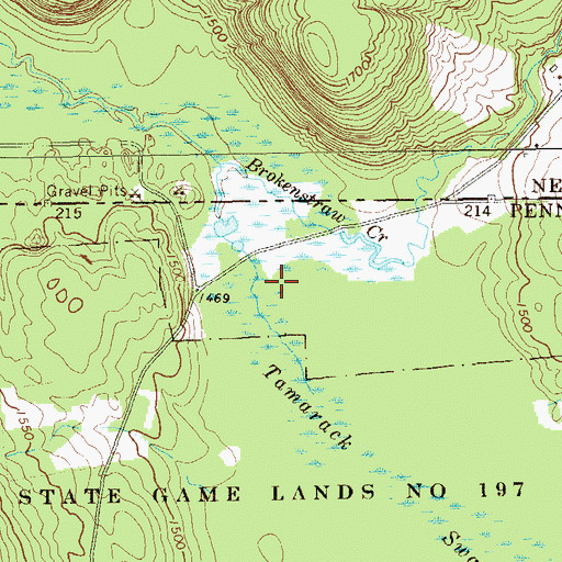 Topographic Map of Tamarack Swamp, PA