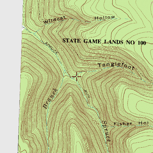 Topographic Map of Tanglefoot Hollow, PA