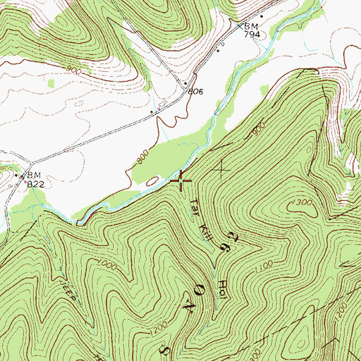 Topographic Map of Tar Kill Hollow, PA