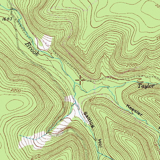 Topographic Map of Taylor Field Branch, PA