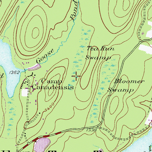 Topographic Map of Tea Run Swamp, PA