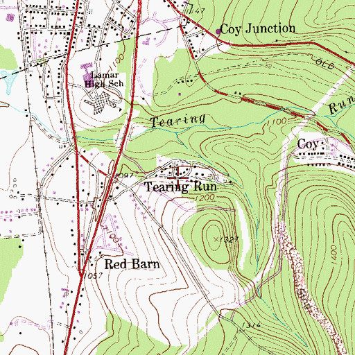 Topographic Map of Tearing Run, PA