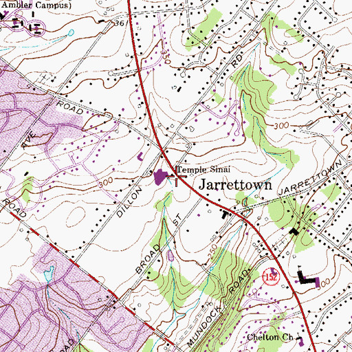 Topographic Map of Temple Sinai, PA