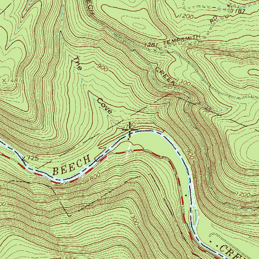 Topographic Map of The Cove, PA