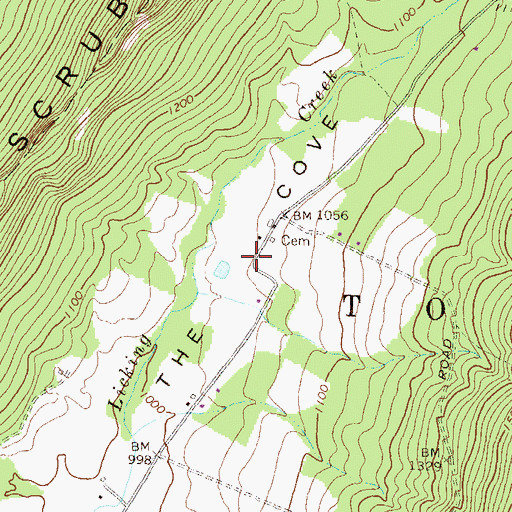Topographic Map of The Cove, PA