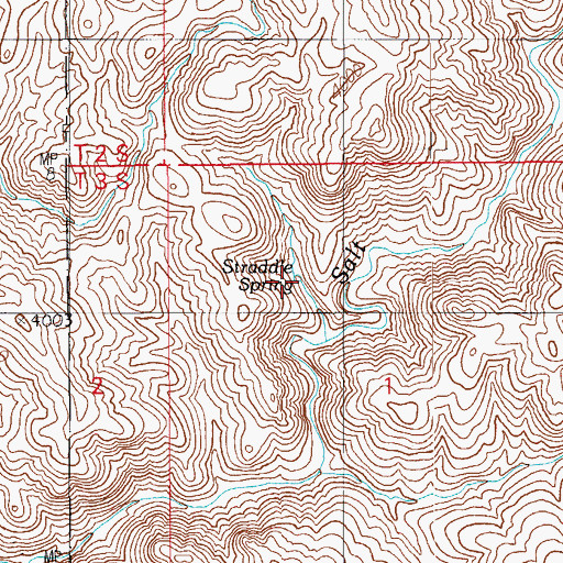 Topographic Map of Straddle Spring, AZ
