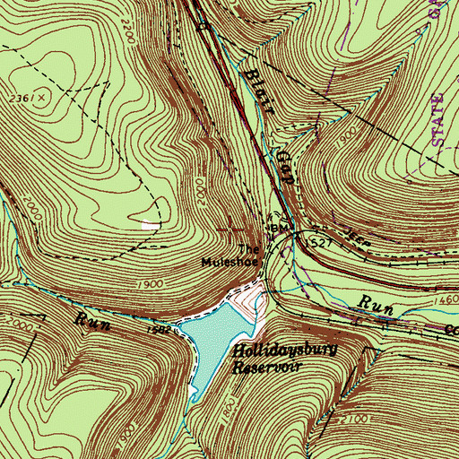 Topographic Map of The Muleshoe, PA