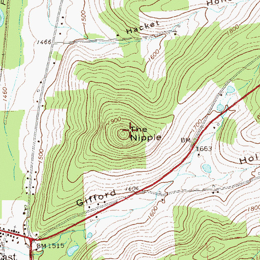 Topographic Map of The Nipple, PA