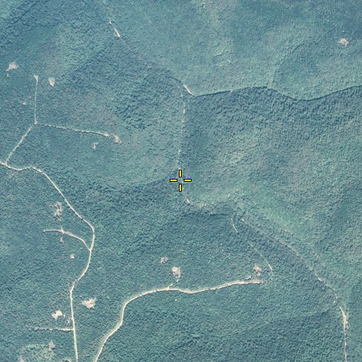 Aerial/Satellite Image of The Notch, PA