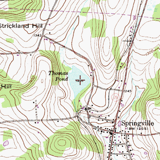 Topographic Map of Thomas Pond, PA