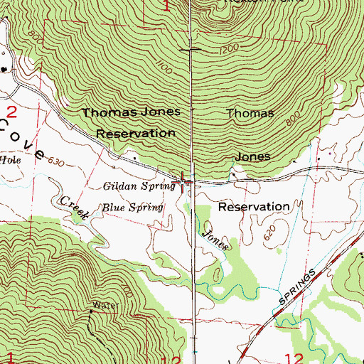 Topographic Map of Gildan Spring, AL