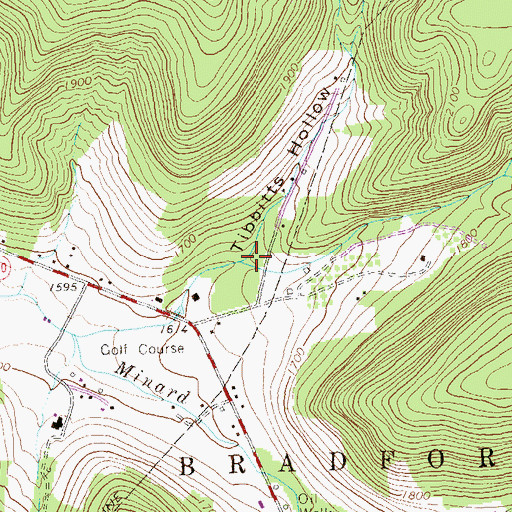 Topographic Map of Tibbitts Hollow, PA