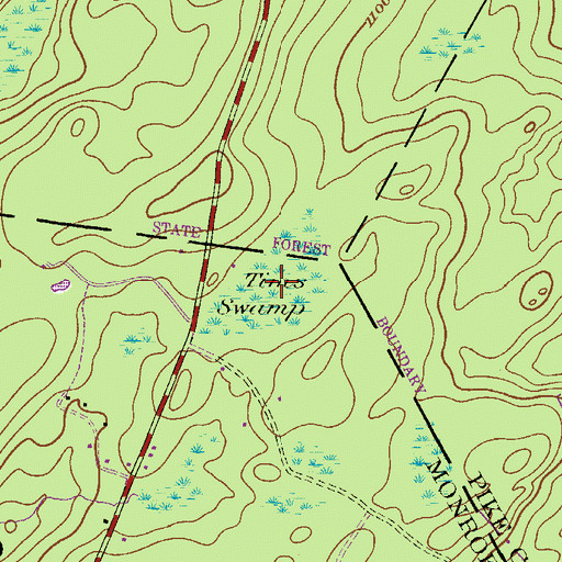 Topographic Map of Tims Swamp, PA