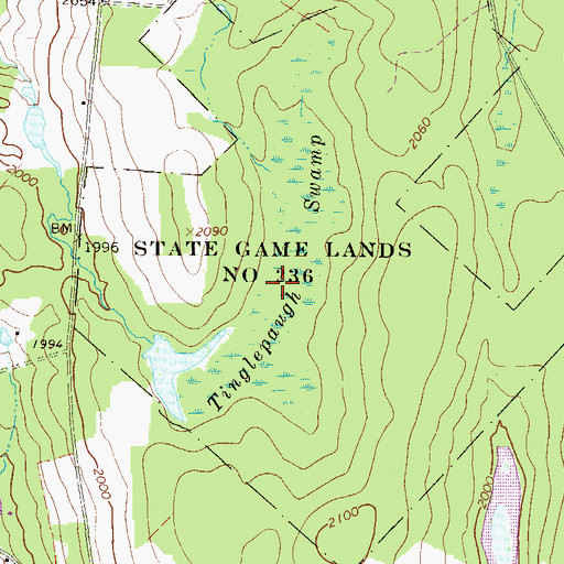 Topographic Map of Tinglepaugh Swamp, PA