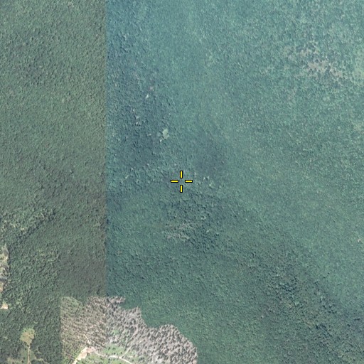 Aerial/Satellite Image of Tinker Run, PA