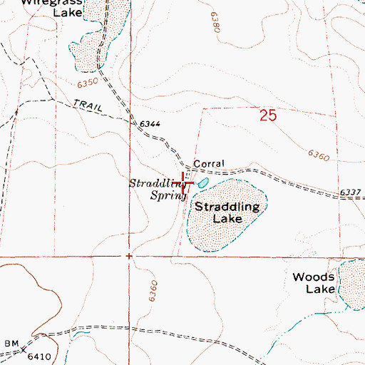 Topographic Map of Straddling Spring, AZ