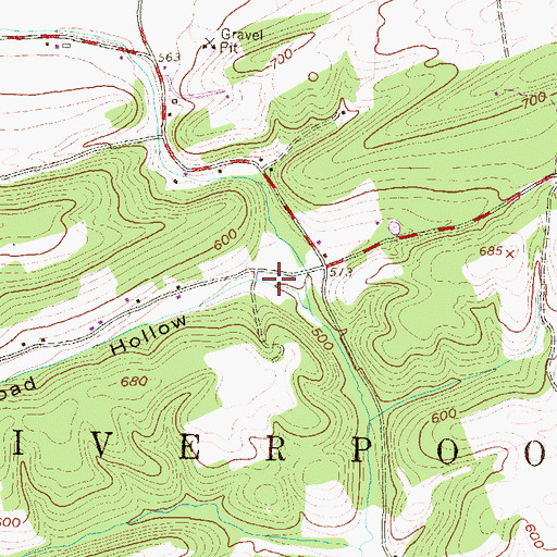 Topographic Map of Toad Hollow, PA