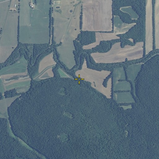 Aerial/Satellite Image of Gilliam Spring, AL