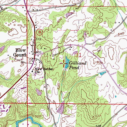 Topographic Map of Gilliand Pond, AL