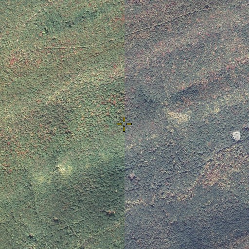 Aerial/Satellite Image of Treaster Mountain, PA