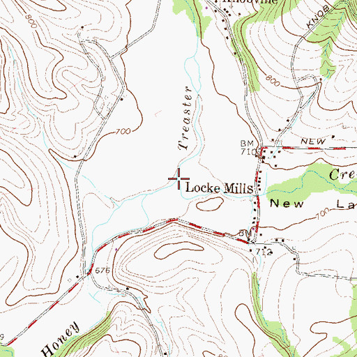 Topographic Map of Treaster Run, PA