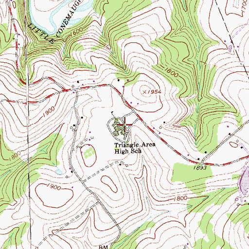 Topographic Map of Triangle Area High School, PA