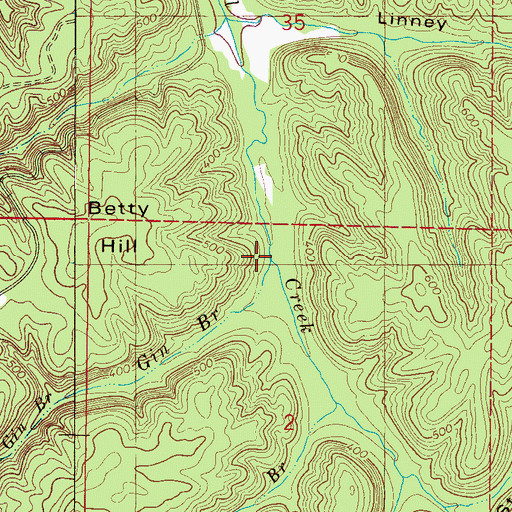 Topographic Map of Gin Branch, AL