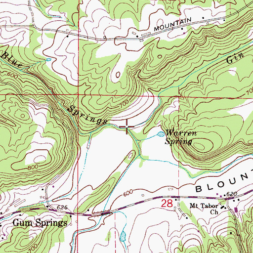 Topographic Map of Gin Branch, AL