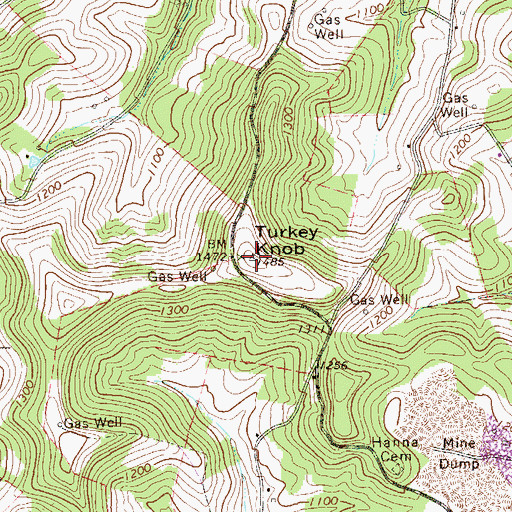 Topographic Map of Turkey Knob, PA