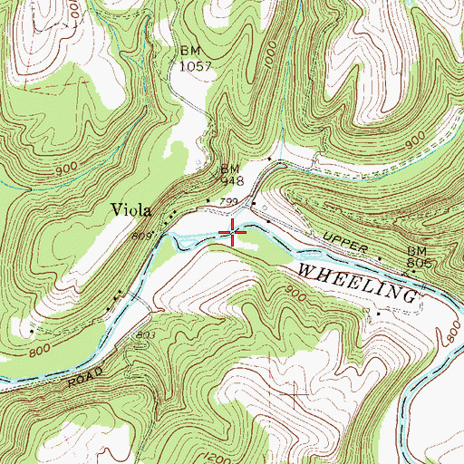 Topographic Map of Turkey Run, WV