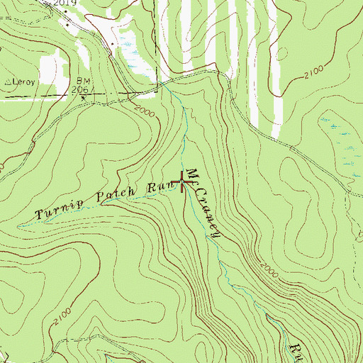 Topographic Map of Turnip Patch Run, PA